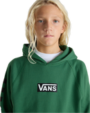 Vans Boxed Hooded Sweater Fairway Kids