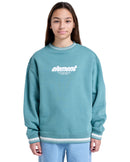 Koop het Element 90s 2.0 Hooded Sweater KIDS veilig en snel bij Revert 95 online of kom hem checken in de winkel in Haarlem.