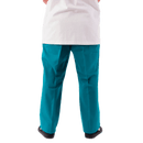 Dickies Jamie Foy 826 Workpant fanfare achterkant