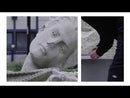 Dickies BETTLES SWEATSHIRT videoclip
