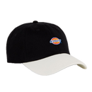 Koop de Dickies Hardwick 2 Tone Black veilig  en snel bij Revert 95 online of kom hem checken in de winkel in Haarlem.