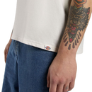 Koop het Dickies Lewistown SS Tee veilig  en snel bij Revert 95 online of kom hem checken in de winkel in Haarlem.