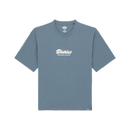 Koop het Dickies Lewistown SS Tee veilig  en snel bij Revert 95 online of kom hem checken in de winkel in Haarlem.