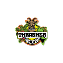 HUF x Thrasher Sticker – vinyl sticker met klassiek HUF x Thrasher-logo, weerbestendig en duurzaam
