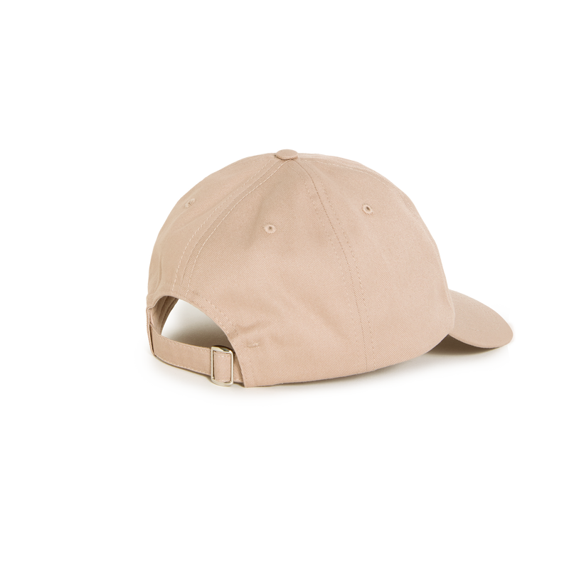 Polar Skate Co Sai Cap College Logo