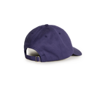 Polar Skate Co Sai Cap College Logo