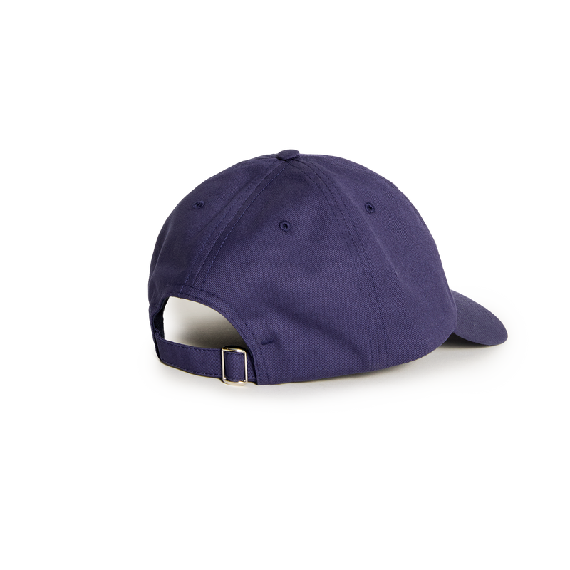 Polar Skate Co Sai Cap College Logo
