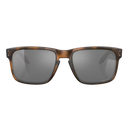 HOLBROOK Matte Brown Tortoise Prizm Black