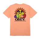 Bestel de Obey The future is the fruits of our labour classic tee snel, gemakkelijk en veilig bij Revert 95. Check onze website voor de gehele Obey collectie of kom gezellig langs bij onze winkel in Haarlem.