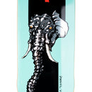 Daniel Vargas Tusk on Effigy