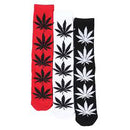 Essentials Plantlife Sock 3Pk