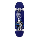 Stage 1 Full Skull 2